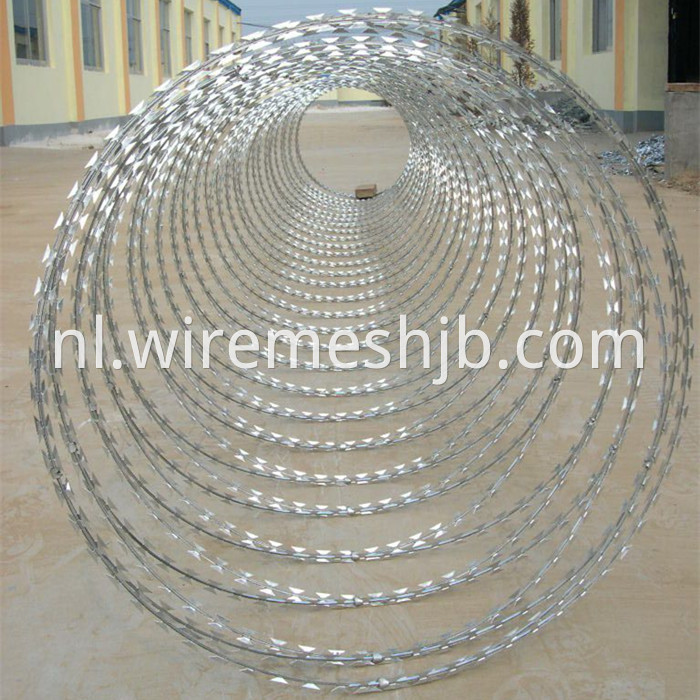 Concertina Razor Wire Fence